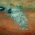 DSC00267.jpg