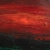 DSC01537.jpg
