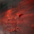 DSC01545.jpg