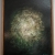 DSC01565.jpg