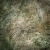 DSC01566.jpg