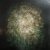 DSC01587.jpg